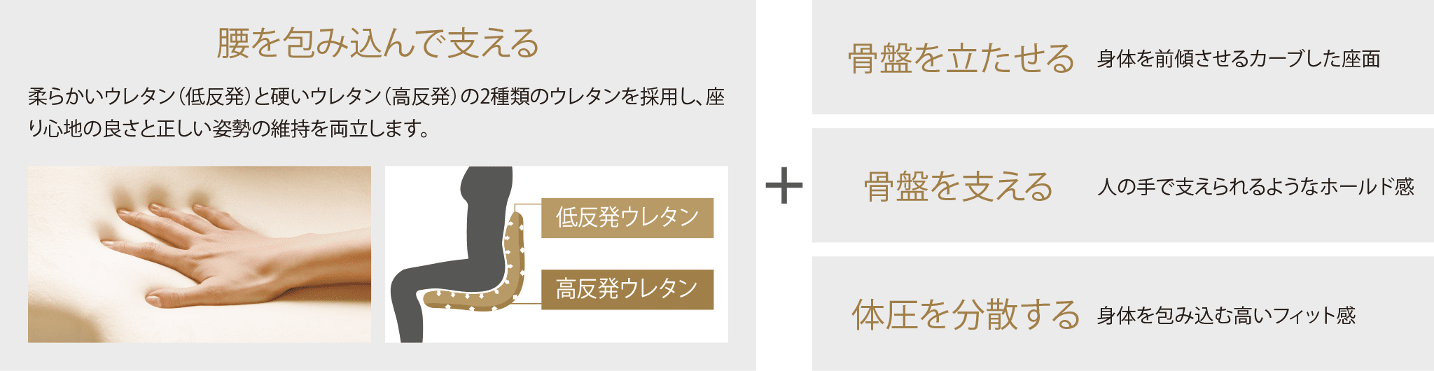 骨盤を立たせる 骨盤を支える 体圧を分散する