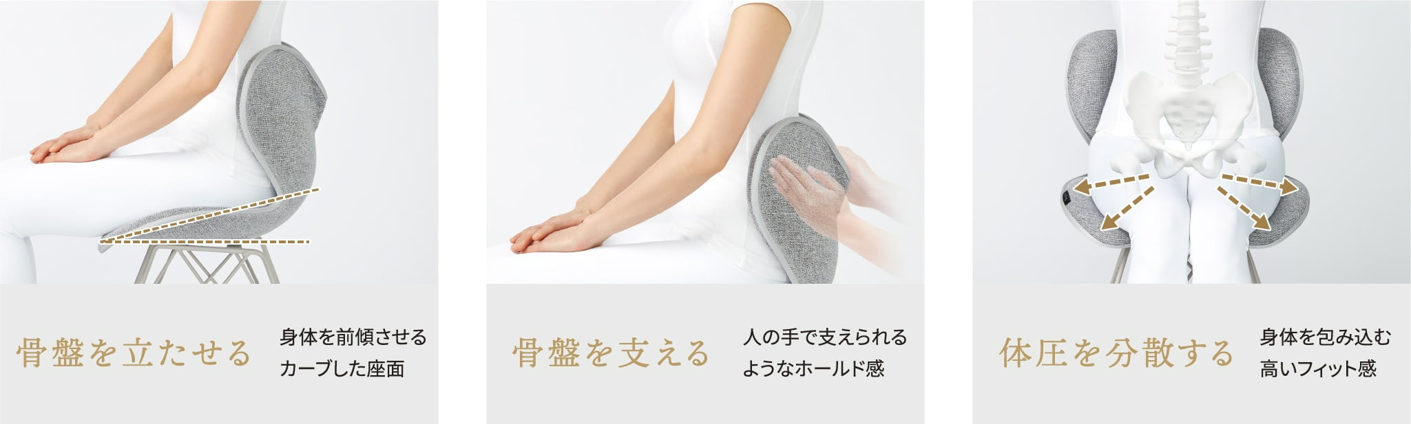 骨盤を立たせる 骨盤を支える 体圧を分散する