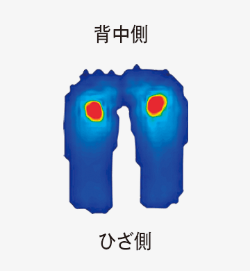 背中側 ひざ側