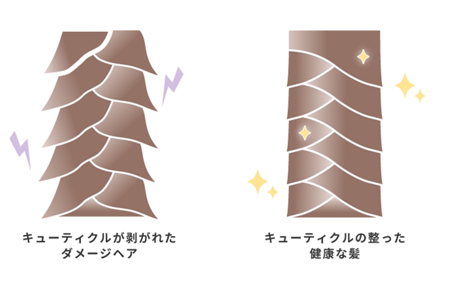 キューティクルが整っている髪の特徴