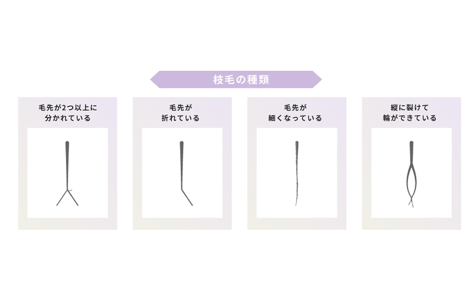 枝毛の種類