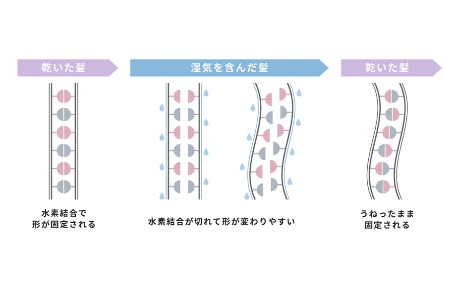 髪が濡れたまま就寝する