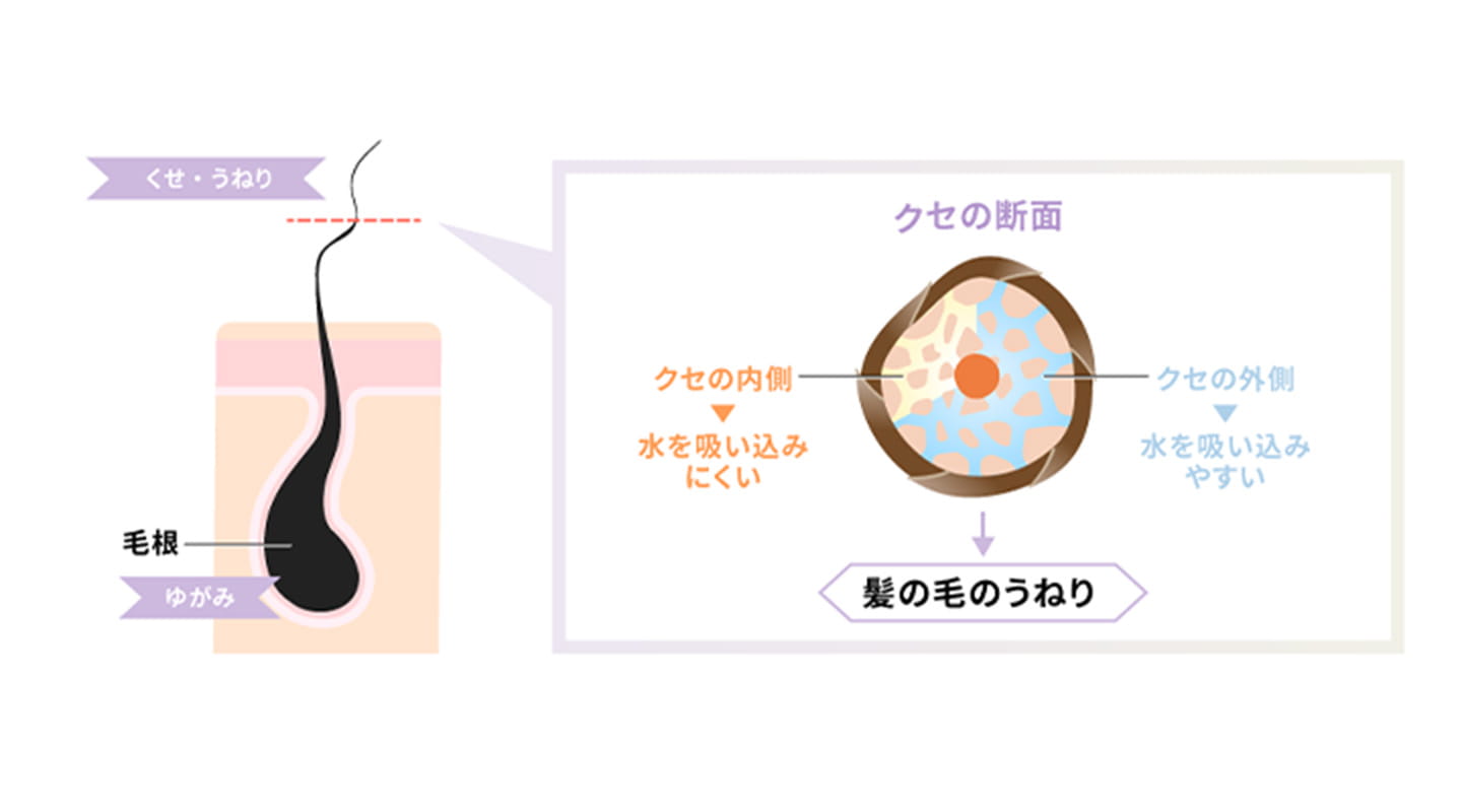 髪のうねりとは?