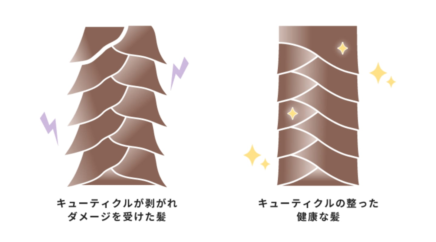乾燥している髪はキューティクルが剥がれている
