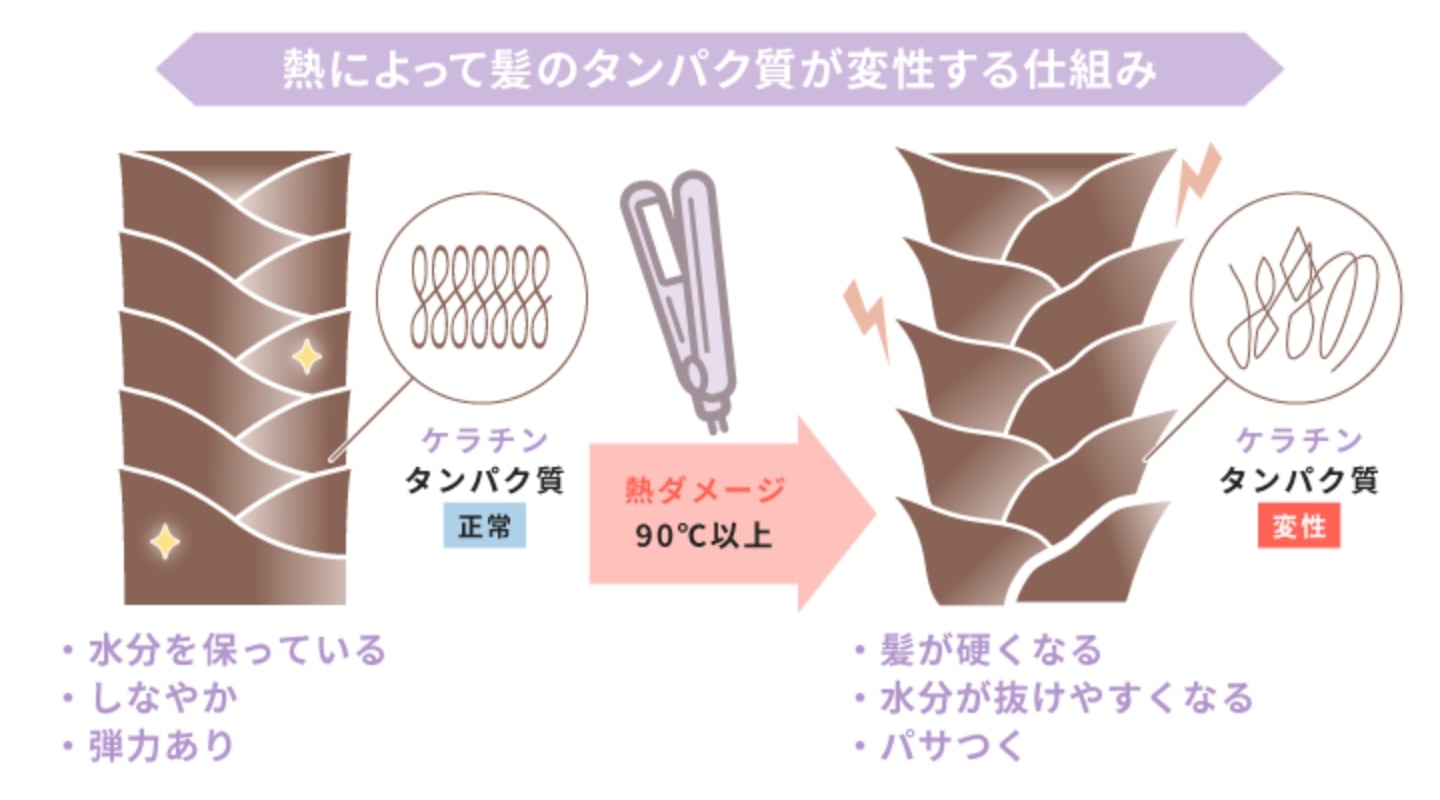 熱によって髪のタンパク質が変性するため