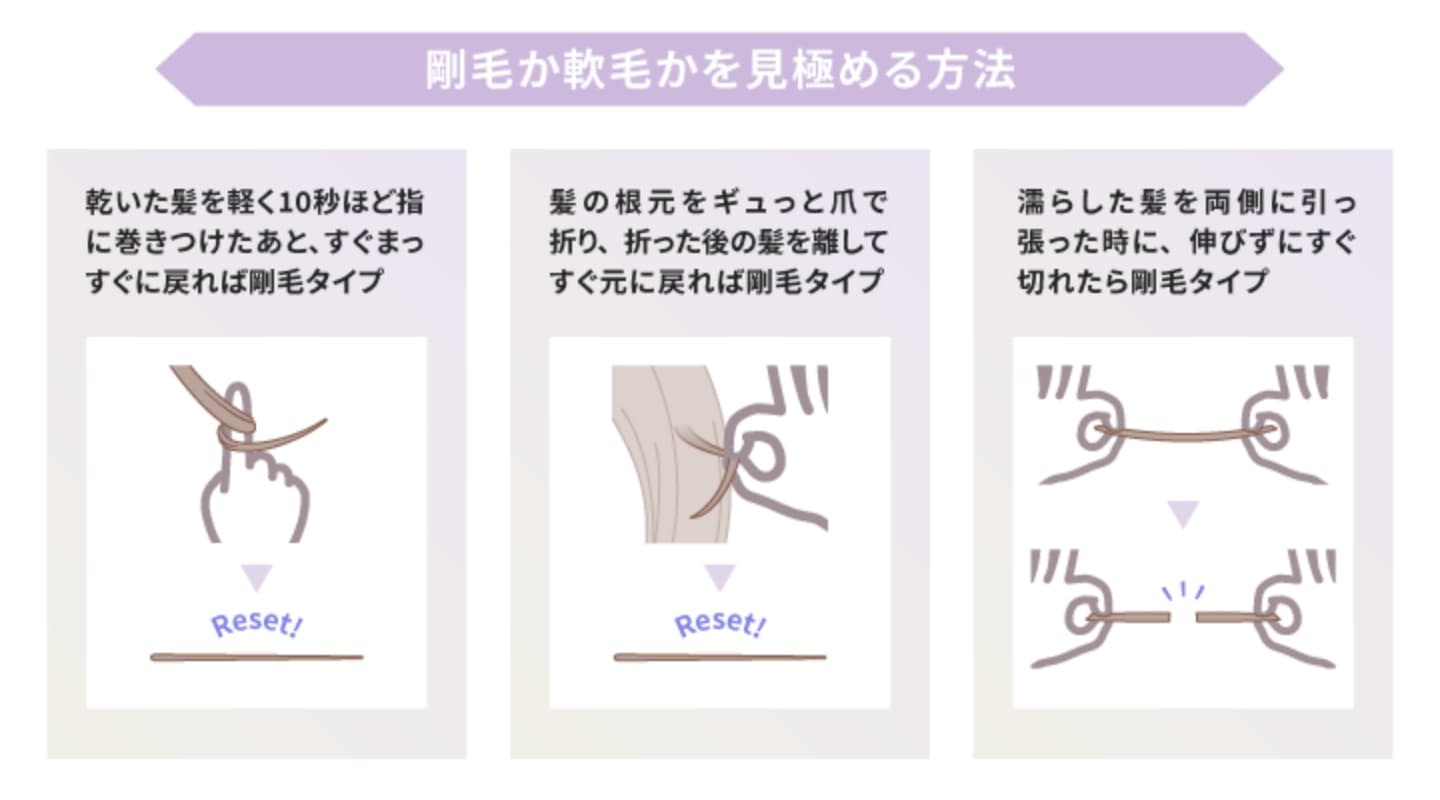 そもそも剛毛・軟毛とは