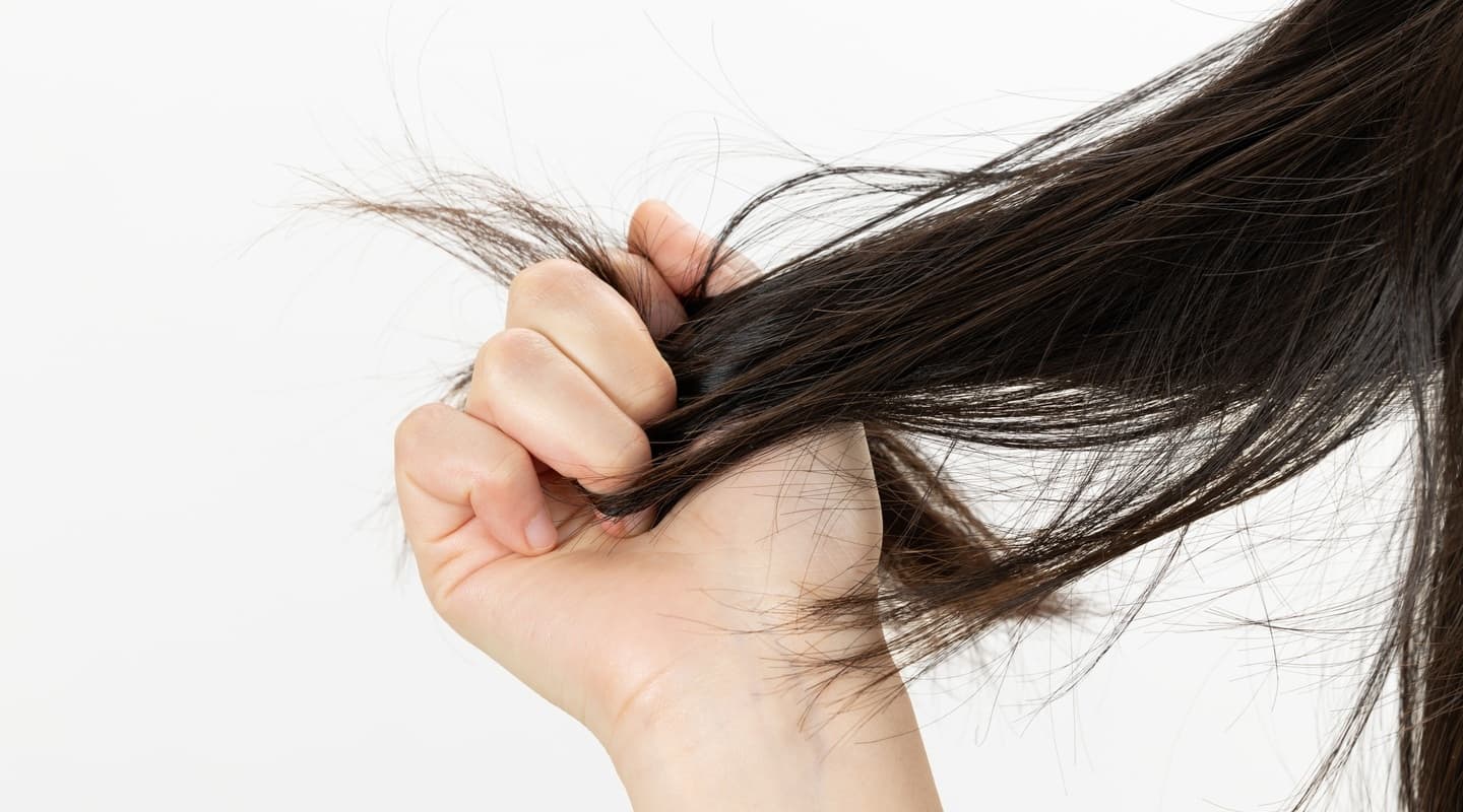 剛毛のよくあるお悩み