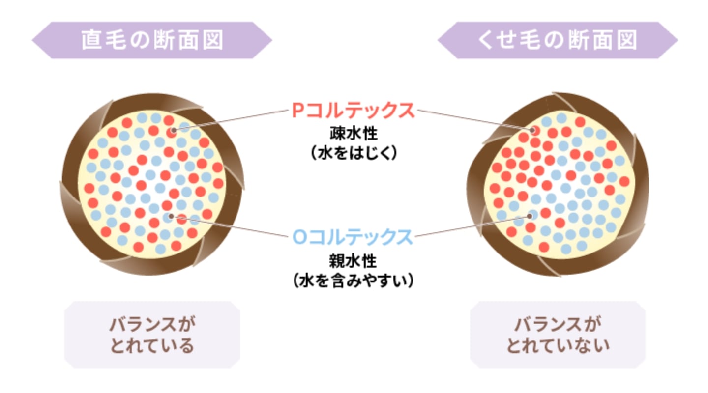 髪内部のバランスが崩れている