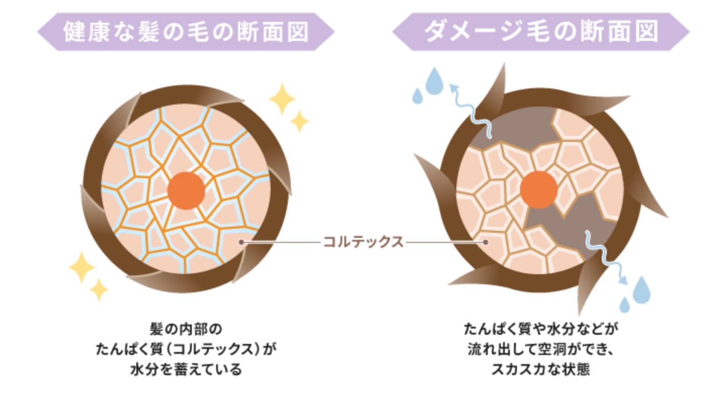 切れ毛とは