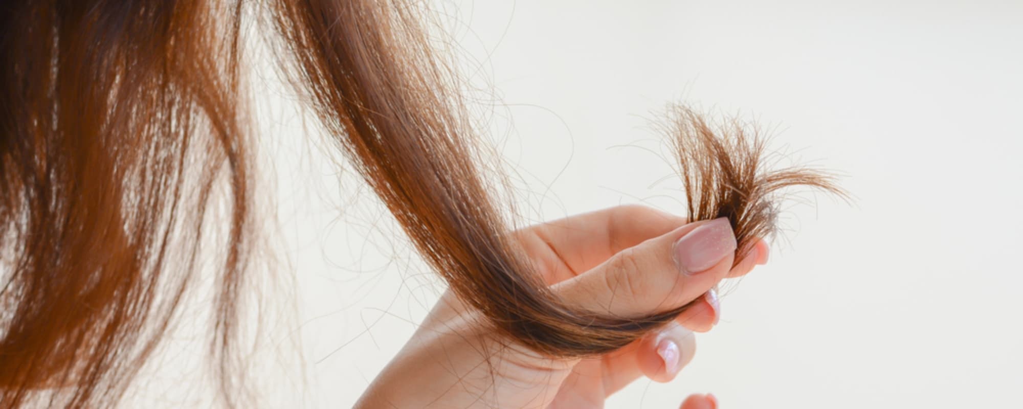 切れ毛が増える原因は？改善方法とヘアケアのポイントを解説