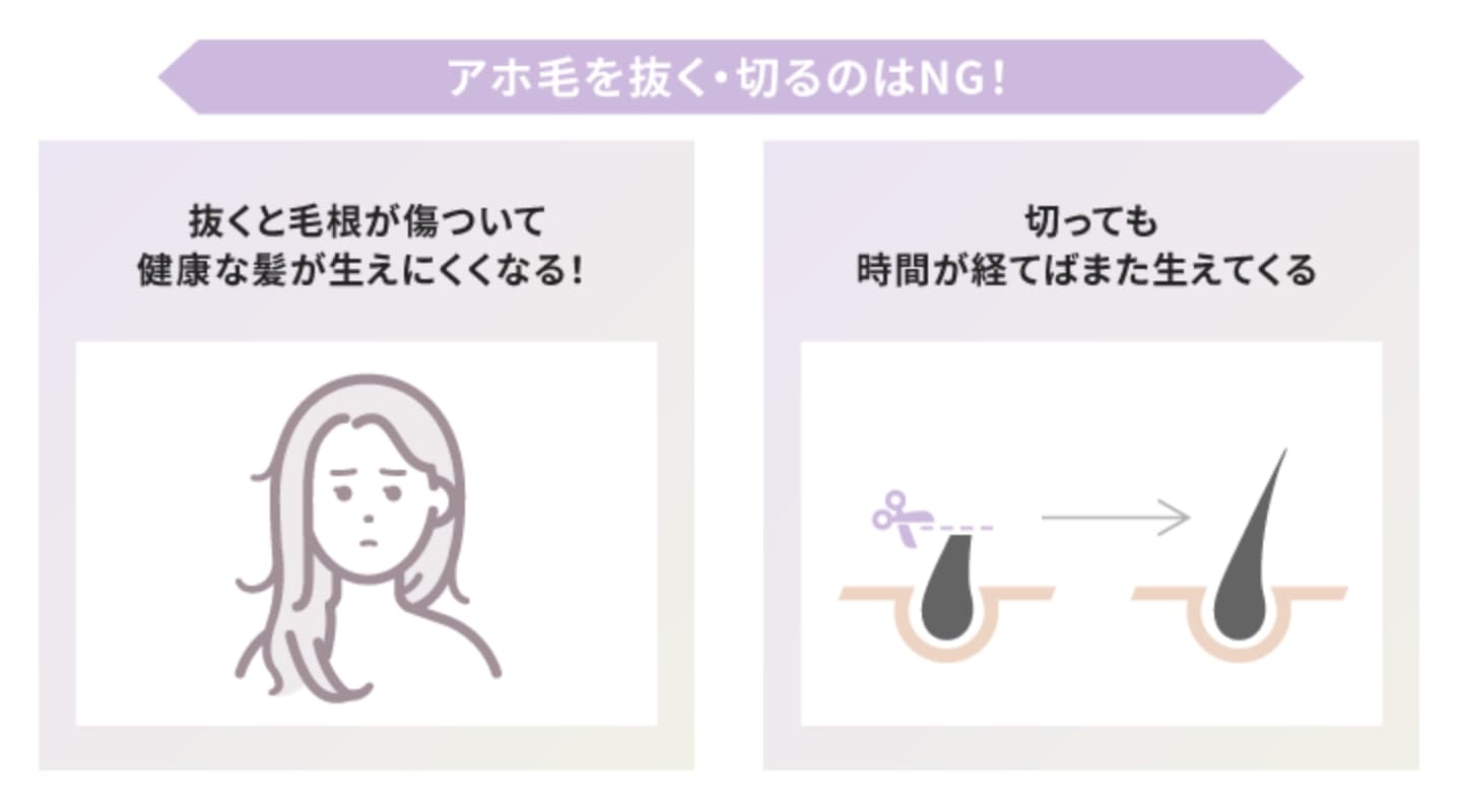 【NG行動】アホ毛を抜いたり切ったりするのは避けるべき