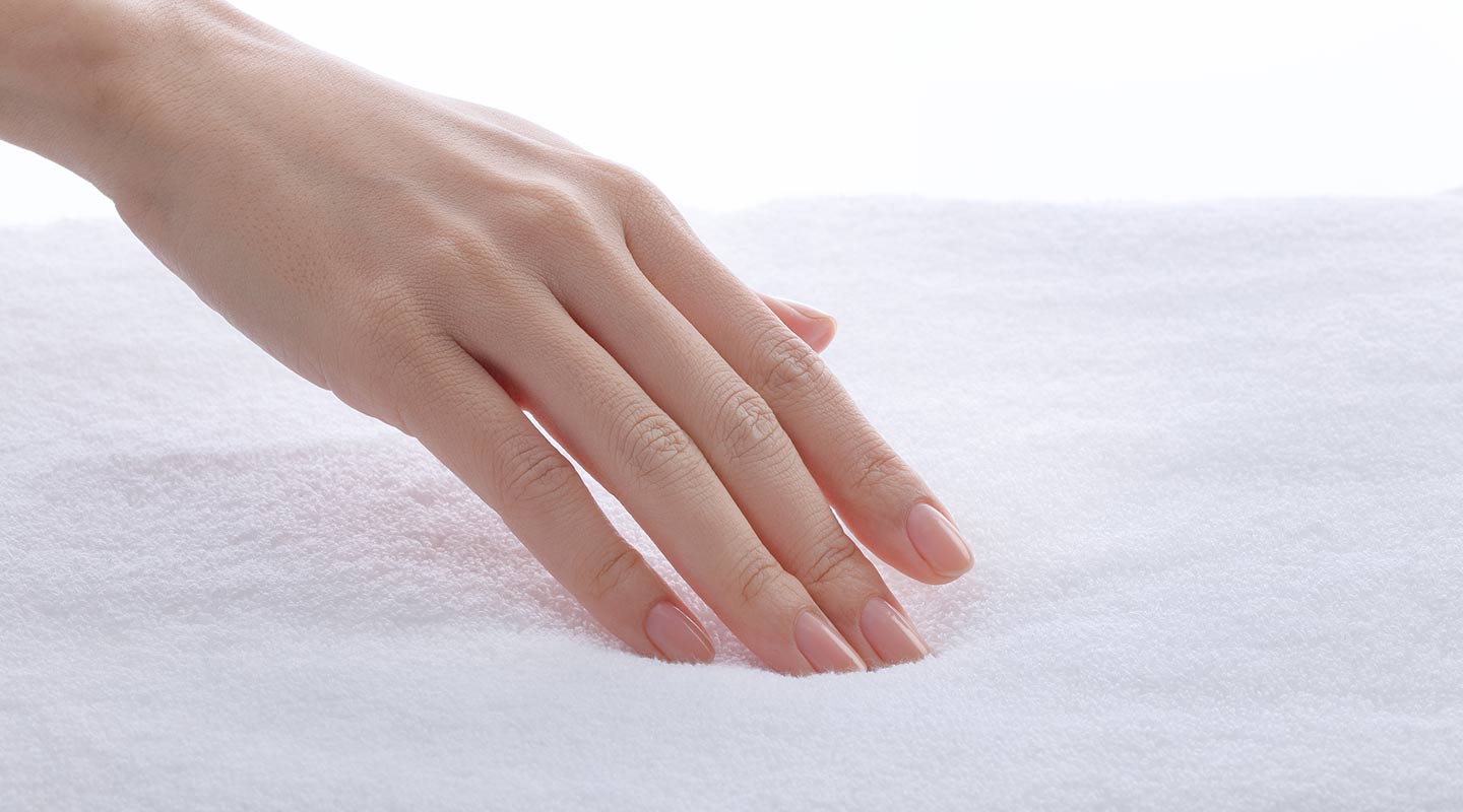 エジプト綿とは？