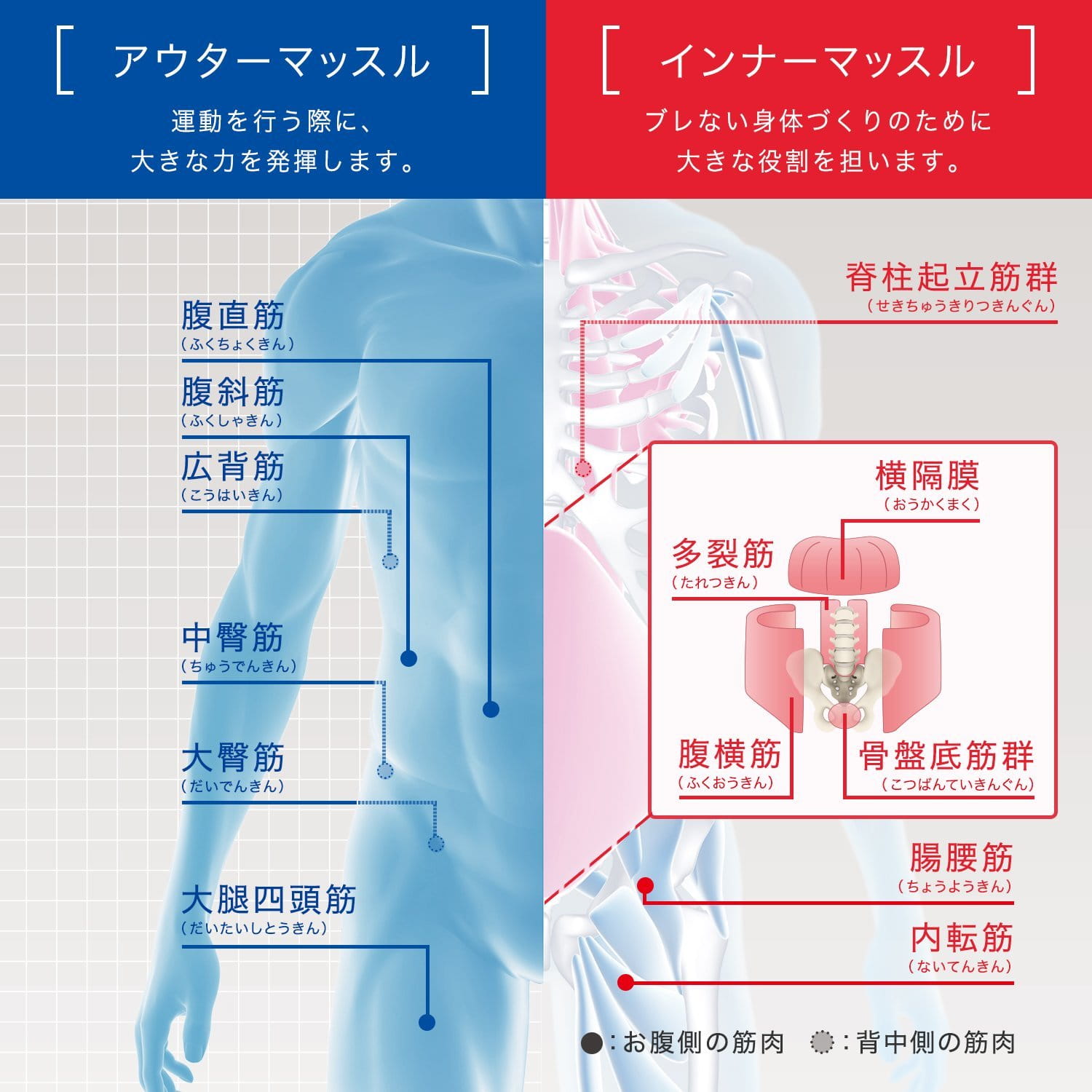 体幹を鍛えるタイカンストリーム アドバンス Taikan Stream 公式通販 Mtg Onlineshop 体幹を鍛えるタイカンストリーム アドバンス Taikan Stream 公式通販 Mtg Onlineshop