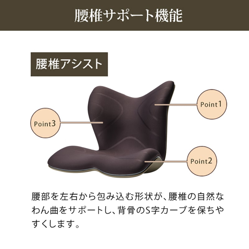 はる様専用 スタイルプレミアム Style PREMIUM - 座椅子 はる様専用 スタイルプレミアム Style PREMIUM - 座椅子