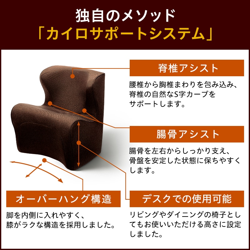 骨盤 テレワーク】スタイル ドクターチェア プラス|Style Dr.CHAIR