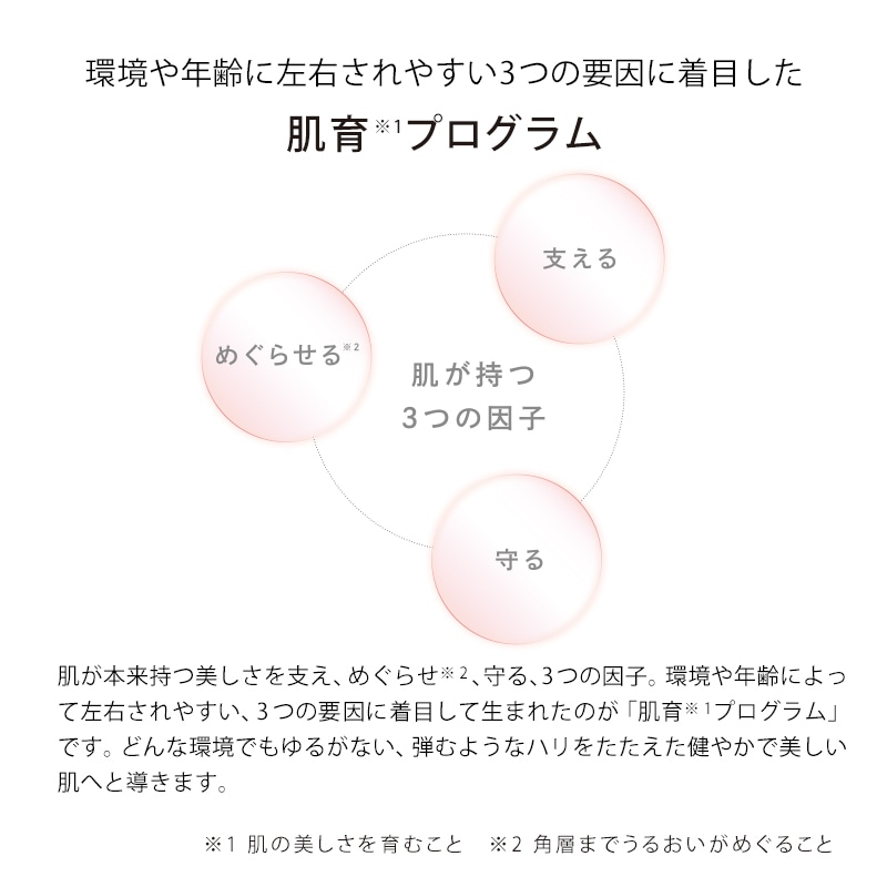 リファビューテック レイズ(ホワイト)