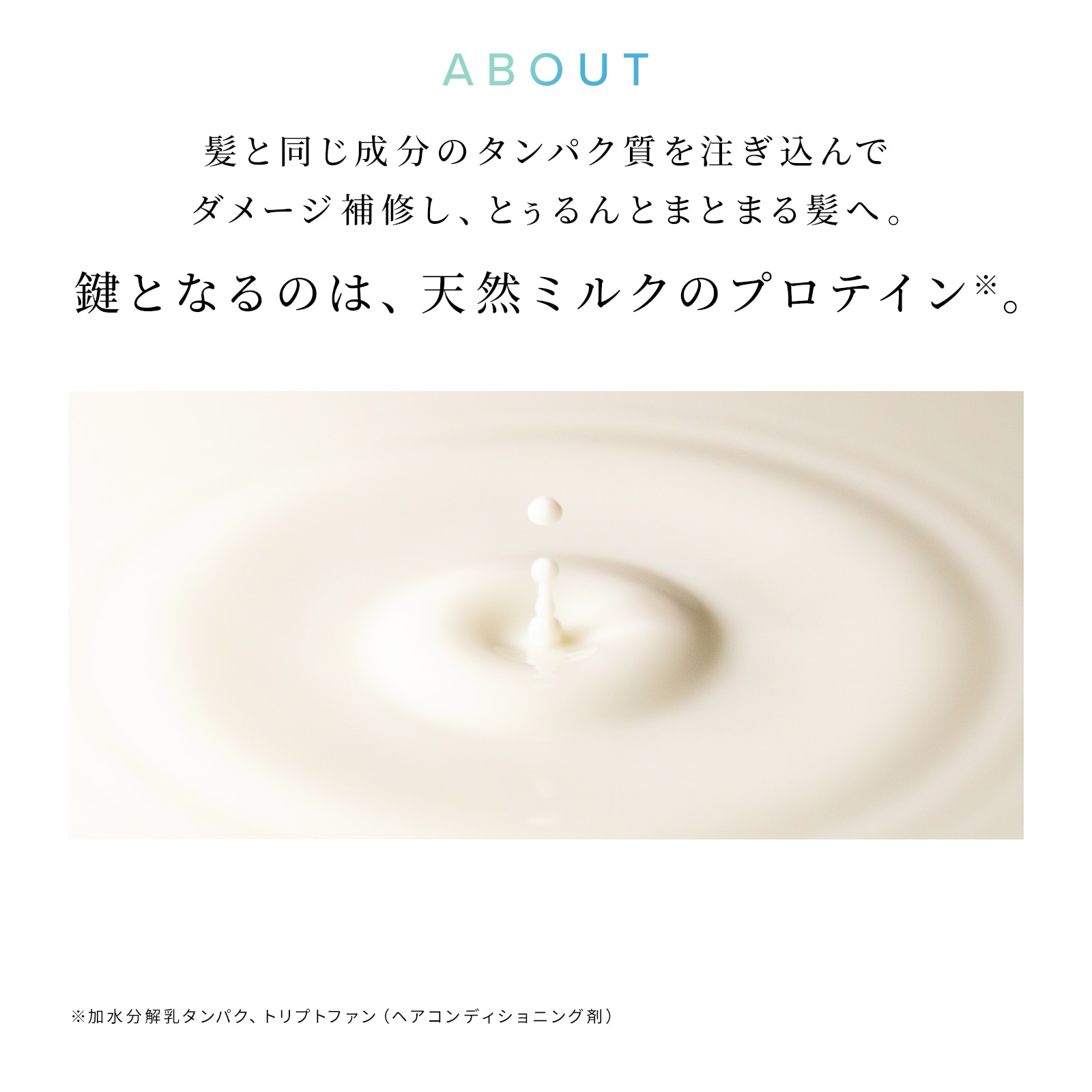 【ReFaギフトラッピングセット S】リファミルクプロテインシャンプー&トリートメント(ストレート)セット