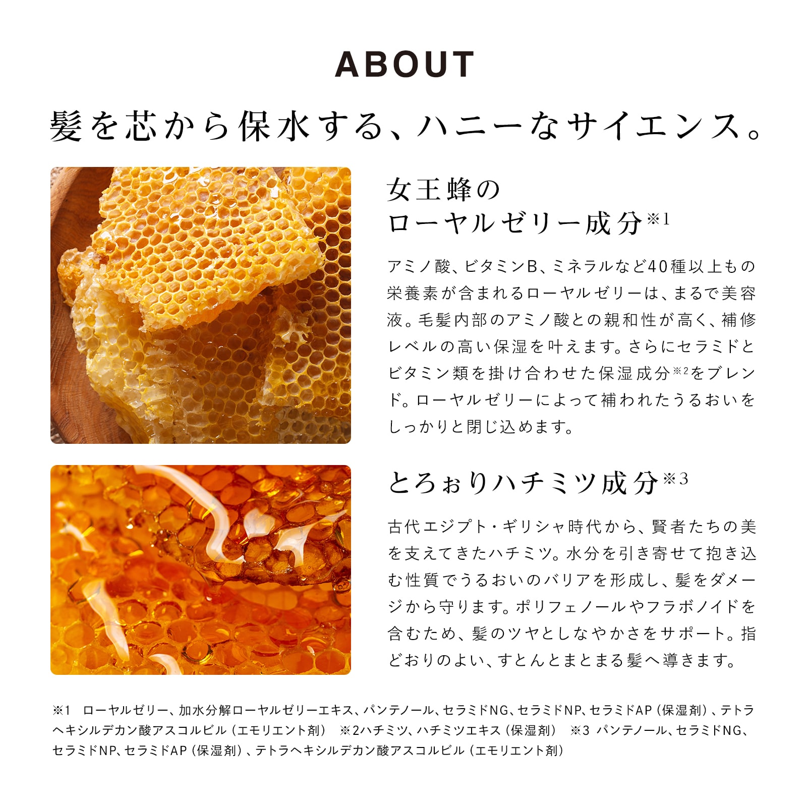 【ReFaギフトラッピングセット S】リファハニークイーンシャンプー&トリートメントセット