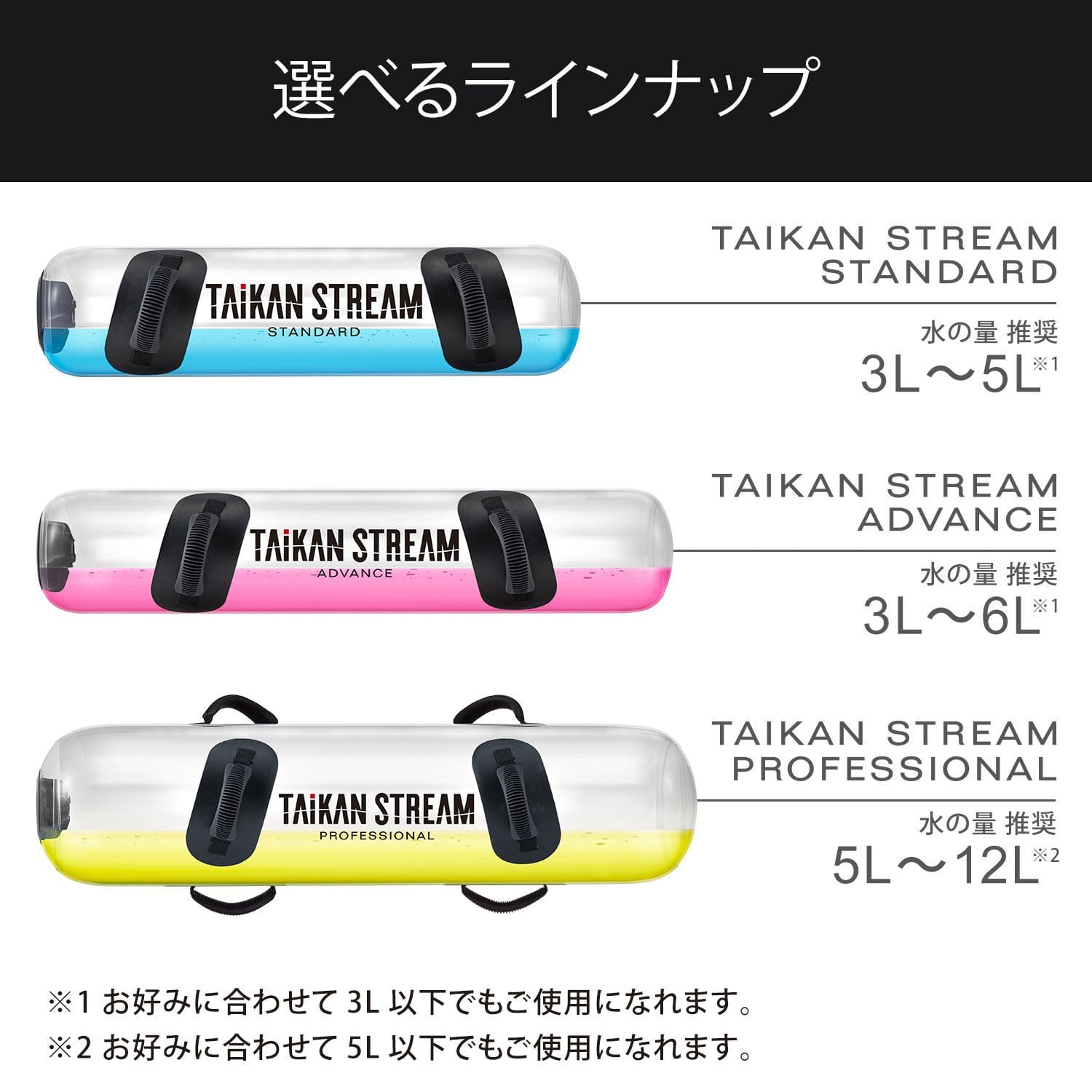 体幹を鍛えるタイカンストリーム アドバンス Taikan Stream 公式通販 Mtg Onlineshop