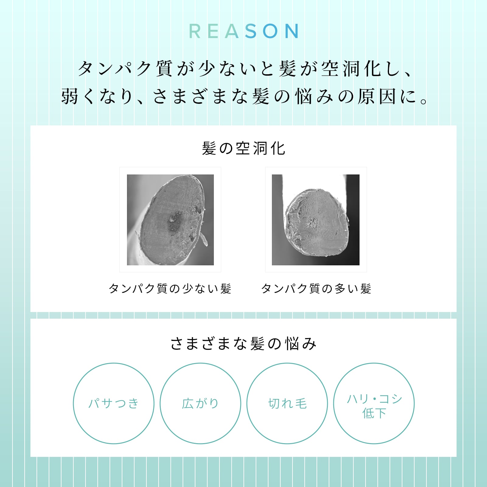 【ReFaギフトラッピングセット S】リファミルクプロテインシャンプー&トリートメント(ストレート)セット