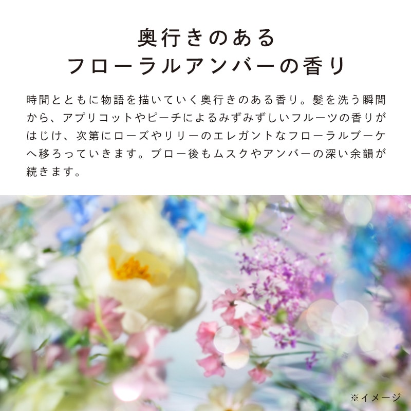 リファビューテックシャンプー 詰め替え用 1000mL