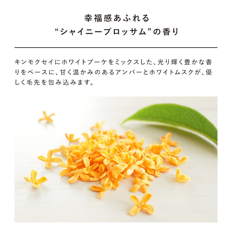 【ReFaギフトラッピングセット SS】ハートミストグロウ