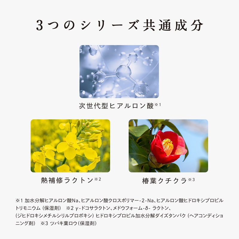 リファビューテックシャンプー 詰め替え用 1000mL