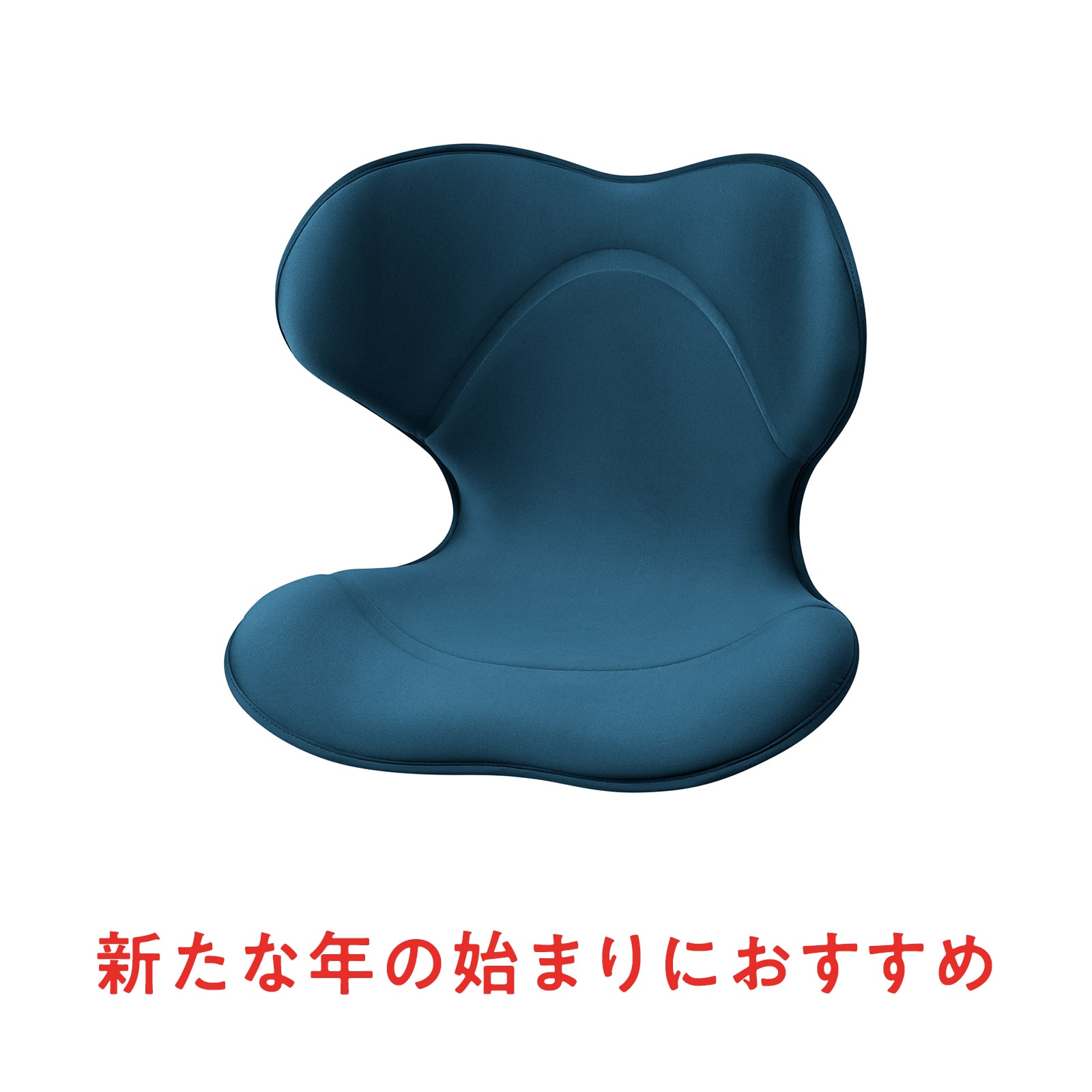 姿勢 骨盤 テレワーク】スタイルスマート（Style SMART） | MTG ONLINESHOP