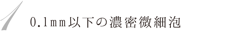 1 0.1mm以下の濃密微細泡