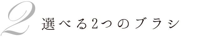 2 選べる2つのブラシ