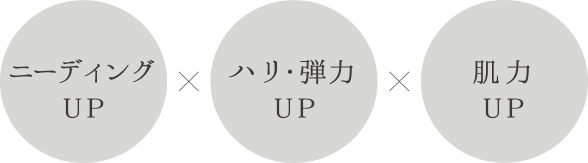 ニーディングUP ハリ・弾力UP 肌力UP