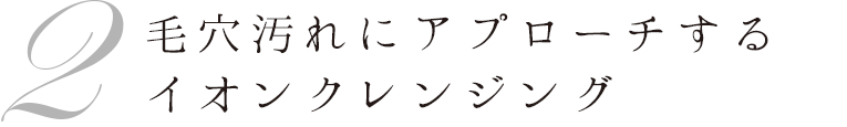 2 イオンクレンジング