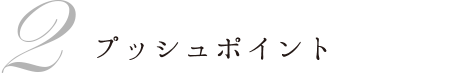 2 プッシュポイント