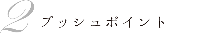 2 プッシュポイント