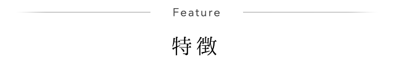 Feature 特徴