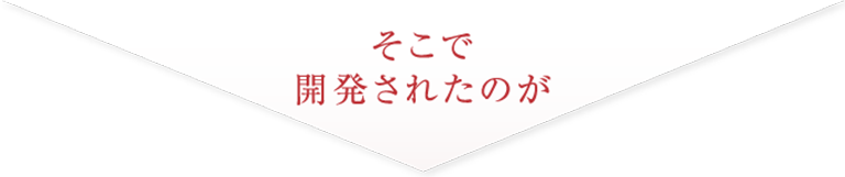 そこで開発されたのが