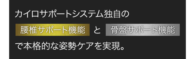 カイロサポートシステム独自の腰椎サポート機能と骨盤サポート機能で本格的な姿勢ケアを実現。