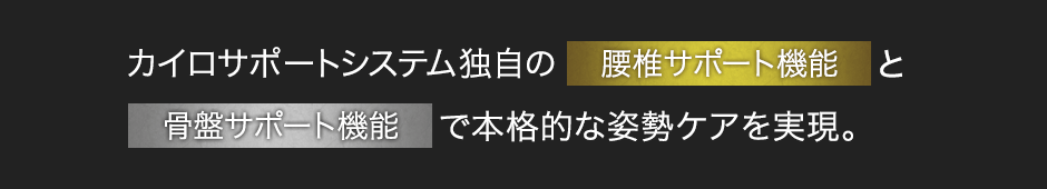 カイロサポートシステム独自の腰椎サポート機能と骨盤サポート機能で本格的な姿勢ケアを実現。