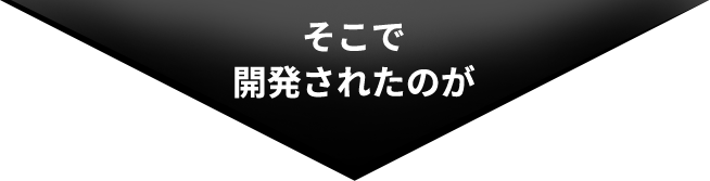 そこで開発されたのが