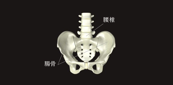 腰椎 腸骨