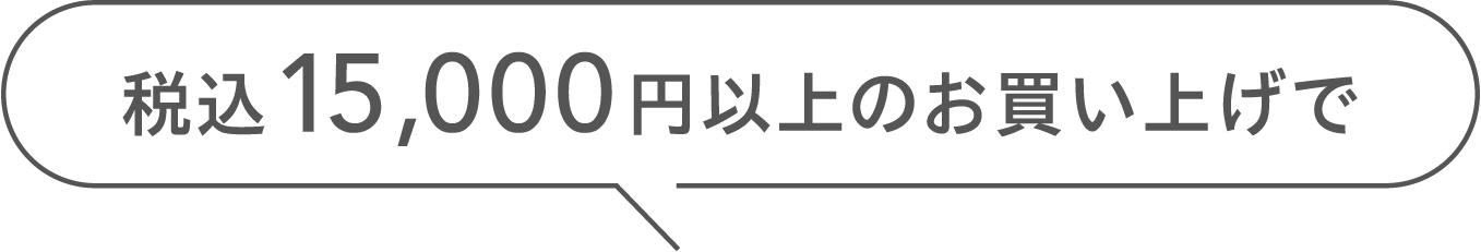 税込 15,000円以上のお買い上げで