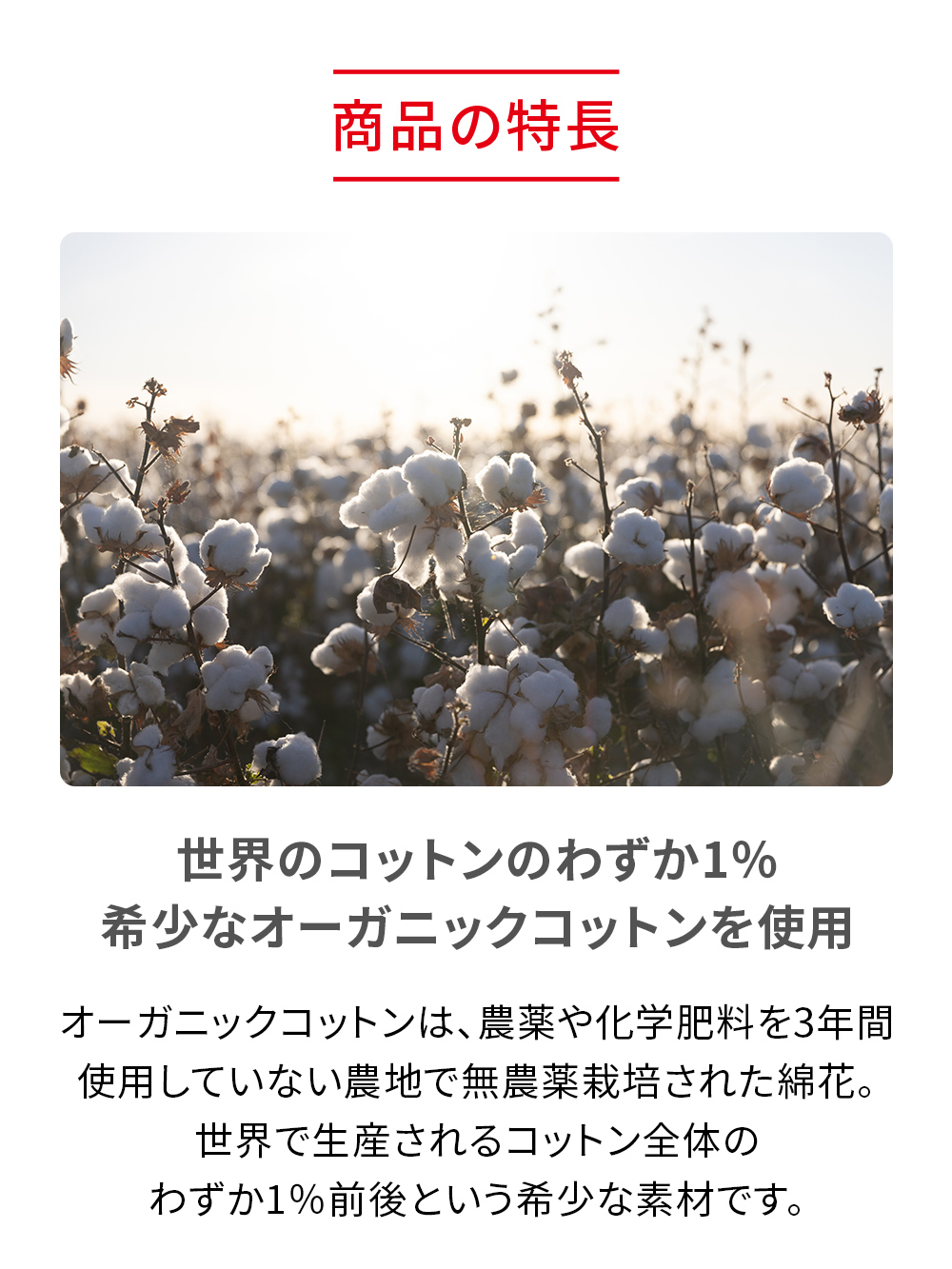 ReD バイタルテック スリープ オーガニックコットンパジャマ長袖ロングパンツセット ライトグレー L ライトグレー L