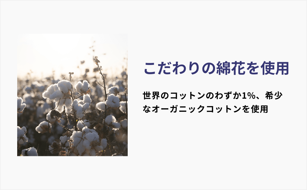 フリック