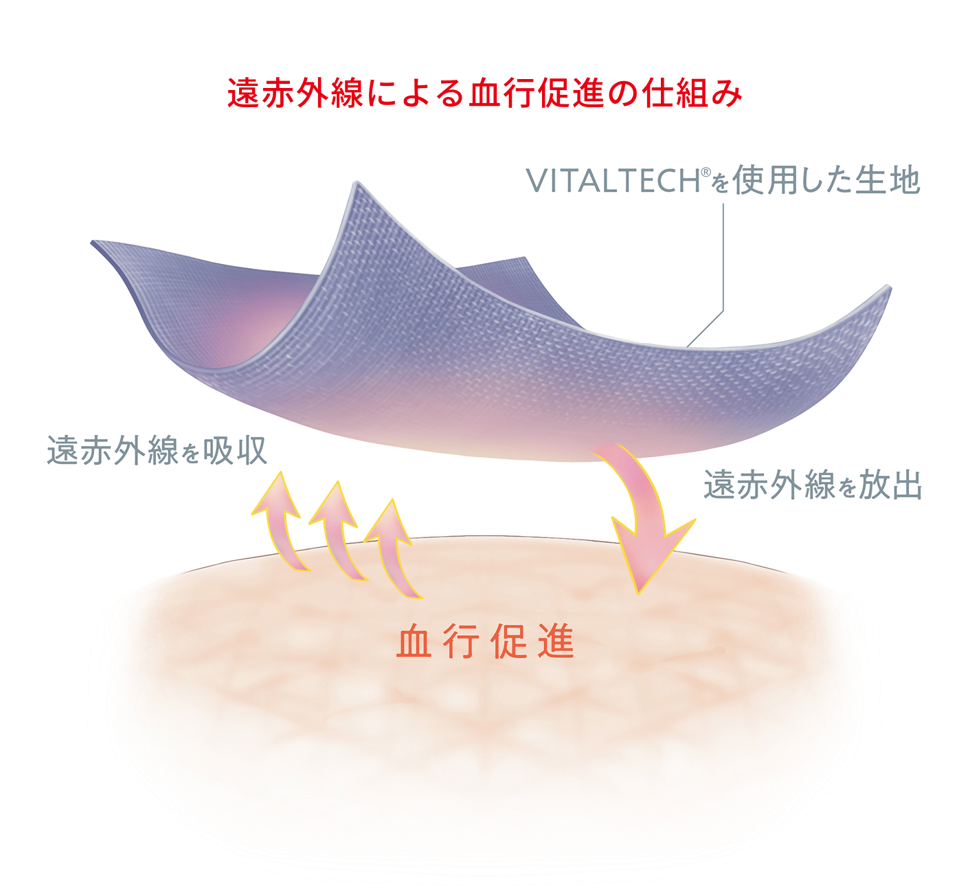 遠赤外線による血行促進の仕組み