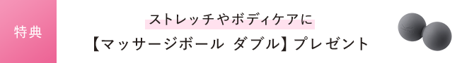 特典 ストレッチやボディケアに【マッサージボール ダブル】プレゼント