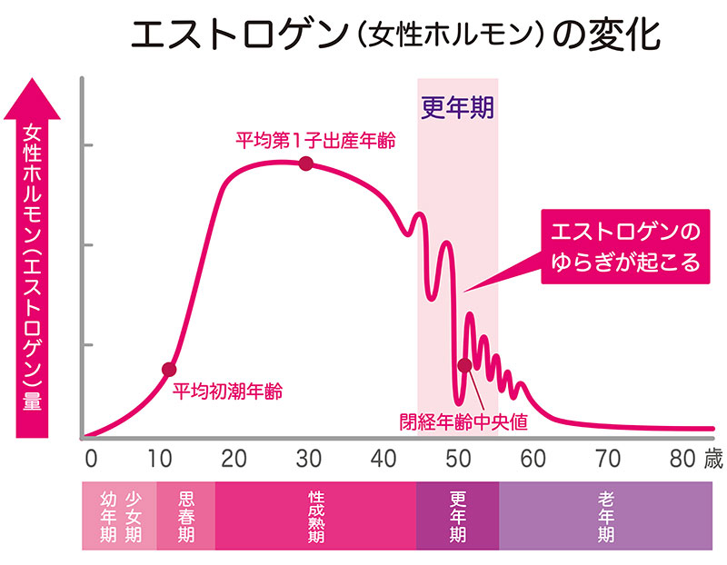 女性ホルモン分泌量の減少