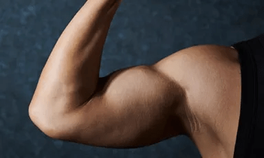 腕・二の腕のトレーニング