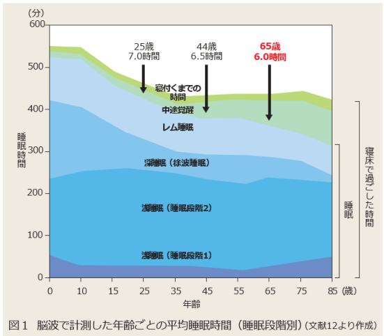 脳波で計測した年齢ごとの平均睡眠時間（睡眠段階別）