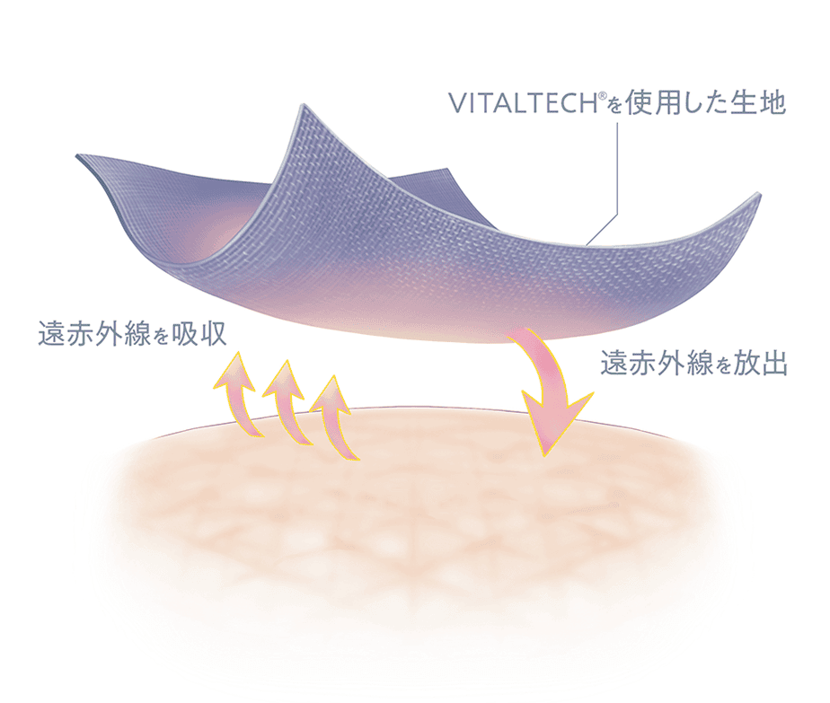 吸収と放出の仕組み