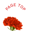 PAGE TOP